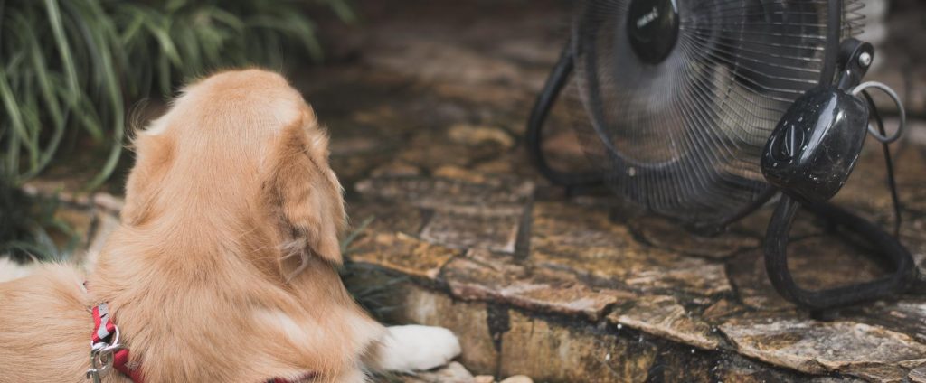 pet cooling fabric 2 (1)