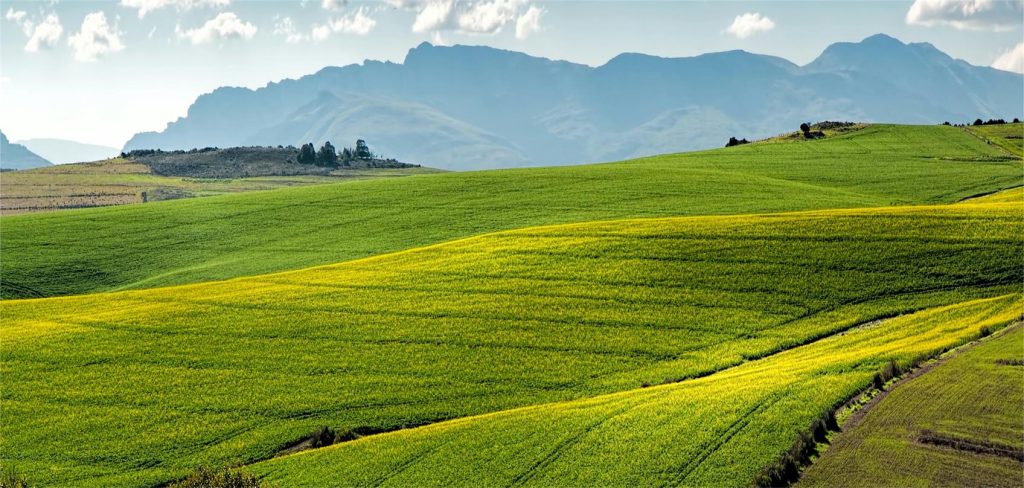 mondo del filato sostenibile