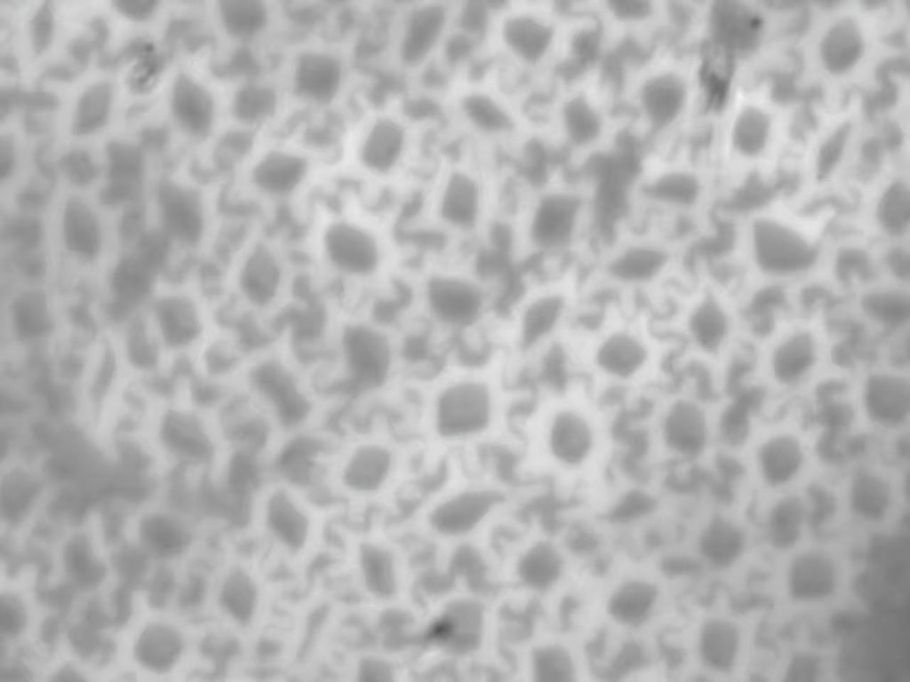 aerogel star shaped(1)