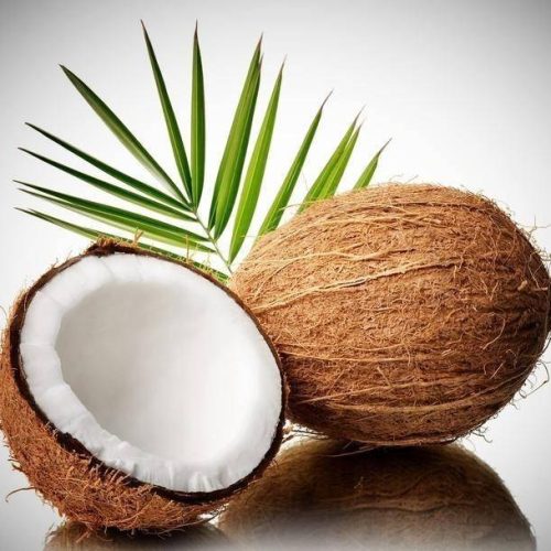 O que s&atilde;o fibras de carv&atilde;o de coco?